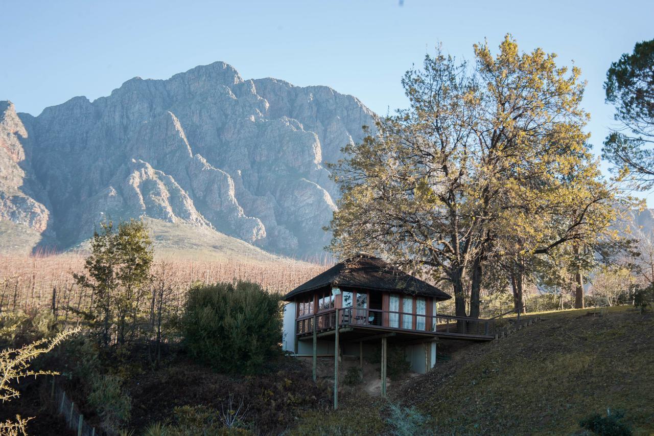 Penzion Tulbagh Mountain Manor Kapské Město Exteriér fotografie